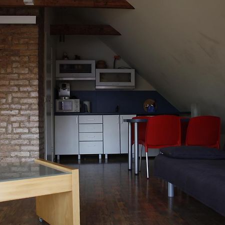 The Jolly Man 2 Apartment Vilnius Bagian luar foto